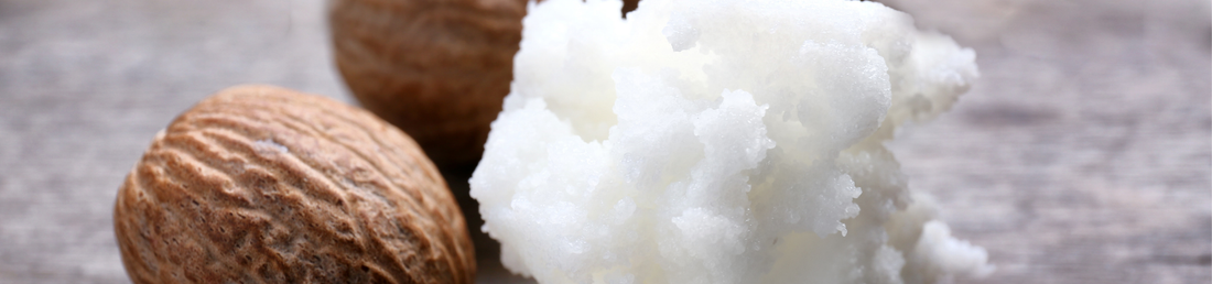 Sheabutter: Wirkung, Anwendung & Vorteile